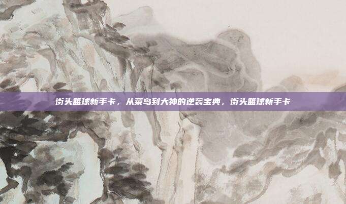 街头篮球新手卡,从菜鸟到大神的逆袭宝典,街头篮球新手卡