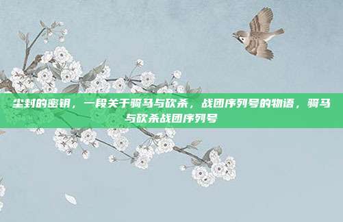 尘封的密钥,一段关于骑马与砍杀,战团序列号的物语,骑马与砍杀战团序列号
